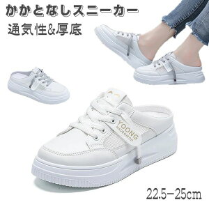 yzXb| ƂȂXj[J[V[Y T_ fB[XSn  y t@V₷ bV Ktbg LoX Xbp JWA V[Y ?