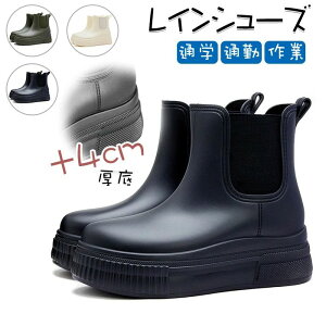 yzCu[c fB[X CV[Y _ cA 4cm fB[X Y ~h jp JC  [Nu[c V[g h ƌC Ȃ hC y 