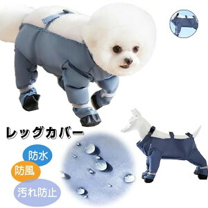 yzybgCR[g ybgphopc pbOJo[^ ^ e[Jo[ h~ ق悯 hh pbOJo[ TXy_[tppc ̌C ?