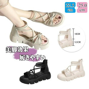 yzXgbvT_ fB[XyʌC T_  fB[X X|[c T_ OfBG[^[T_ 5.5cmq[ t T}[T_ ₷ r tbg?