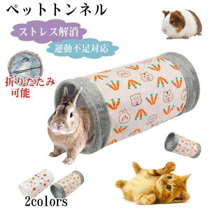 yz gl ETM gl L gl  ܂肽ݎ RpNg gl  e ߋ nEX Lbggl nX^[ gl bg `?