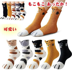 yzC fB[X   [\bNX h  RRC    H ~ ӂӂ  ₦΍    蕨 C 5Zbg