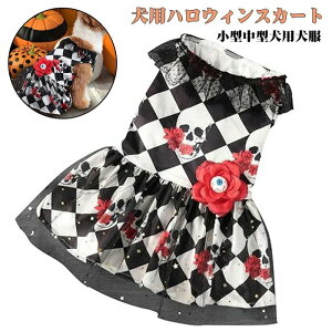 yzpnEBXJ[gAnEBybghX | rX^vgXJ[XXJ[g``AACt[t ^^p RXv nEBp RXv