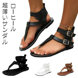 yzr[`T_ T_ [q[ 23-26cm fB[X ₷ Xgbv 傫TCY r ɂȂ   tbgT_  ؂ L y C ?