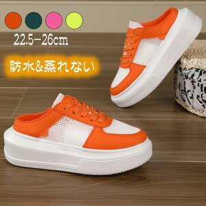 yzXb| Xj[J[ T}[V[YfB[X lC  V[Y ₷؍ yʃXb| EH[LOV[Y L ^C h Ȃ JWAV[?