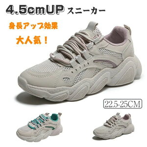 yzXj[J[  JWAV[Y _bhXj[J[ fB[X 4.5cmgAbv [XAbv r  Xj[J[ ₷bV ~ EHLOV?