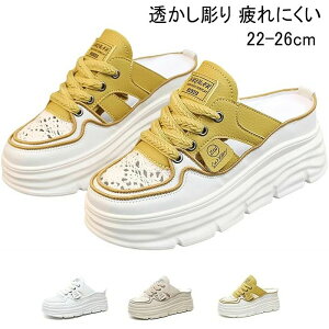 yzƂȂXj[J[ fB[X ƂȂV[Y Xb| ʋC ₷  ɂ r y ėp ItBX h ʋ ʊw s   ?