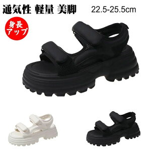 yzT_  X|T  T_ fB[X X|[cT_ xN Xj[J[T_ T_ fB[X KNbV xN X|[cT_