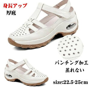 yzX|[cT_ Xj[J[ fB[X gAbv xN p`OH Ȃ T}[T_ ʋC ɂ y EH[LO ₷ IV o?