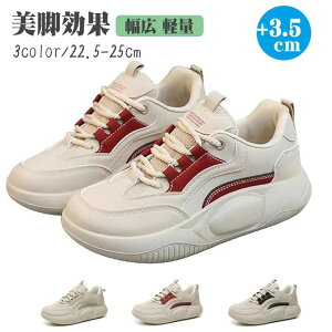 yz_CGbgXj[J[ fB[XV[Y  Xj[J[ V[YtďH~ 3.5cmXj[J[ ՌzJWAV[Y gAbv EH[LOV[Y X|[