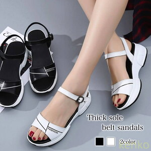 yzT_ fB[X \[xgT_ Xb| U[ g t ₷ ɂ  É q[ lC Xbp  ܐ X|[c  v ItBX