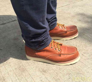 yzu[c Y ~ S t@Xi[ v g {v Zbg U[ V[Y Ȃ  h [h h XG[h y lC L l H uh  Wbp[ u[c