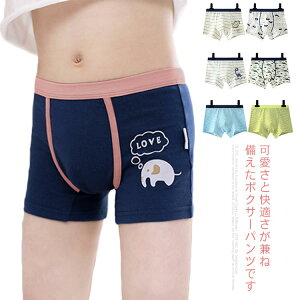 yz{NT[pc j̎q LbY?WjA 2Zbg 110 120 130 140 150 160 170 q  u[t pc Ci[ j  R