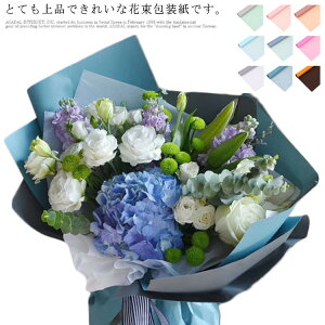 yzbsOy[p[ ԑ  h 58*58cm 10  t[ bsO n jɂ LO a o^Cf[ ԉ