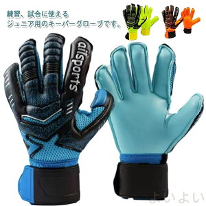 yzL[p[O[u WjA qǂ ebNXp[ L[p[ LbY X|[c X^_[h ebNXp[ K p qp lp