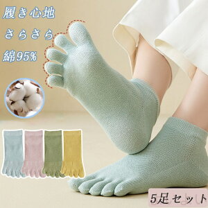 yzy5Zbgz5{w\bNX C Vv w fB[X ܖ{w\bNX ėp  Z   Ԃ X|[c tbgJo[ Rbg