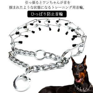 yz h~   P g[jO  Ck  p Ђςh~ ih~ ybg g[jO `F[ SLbvt