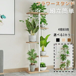 yzt[X^h ACA ԑ 4i 5i  /O /x_ X  u |bN K[fjObN v^[