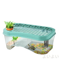 楽天市場】水槽 60cm（爬虫類・両生類｜ペット・ペットグッズ）の通販