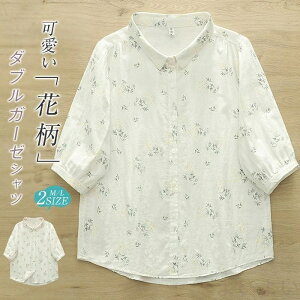 ԕ Vc uEX 100 fB[X K[[Vc K[[uEX  ܕ gbvX K[[ Vc _uK[[ JWA i`