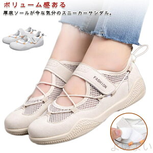 yzXj[J[ T_  fB[X X|[cT_ X|T y V[Y C bV ʋC  Ȃ ᔽ Ȃ Xgbvt