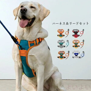 ^   ˃e[vt ȒP xg߉ ʋC ɂ EȂ U o JoLx