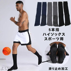 yz3Zbg Y K\bNX ܖ{w N[ \bNX ~ C KEFA zbg  seBX 