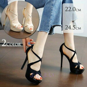 T_ nCq[ fB[X Ƃ 12cmq[ pvX XgbvT_ TCY p[eB[ LoT_ ubN  x[W C pvX ܐȂ t XG[h 