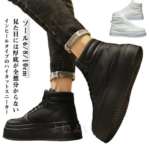 gAbv ₷ amC Ȃ V[NbgV[Y V[NbgXj[J[ 6cm Y Xj[J[  8cm 10cm ~ V[NbgV[Y Xj[J[ n Vv 