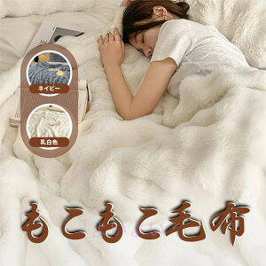 ふわふわ 毛布 ふわとろ 毛布 もこもこ 毛布 ブランケット モコモコ ポコポコ 毛布 とろとろ 毛布 ふわもこ 毛布 もうふ フワトロ 毛布 両面ボア 膝掛け 毛布 厚手 おしゃれ 冬用 暖かい 可愛