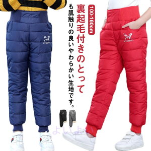 ȃpc LbY N q Y{ h _Epc g j̎q ̎q  EGXgS xr[ Opc WjA XL[ AEghA  {gX ~ V 