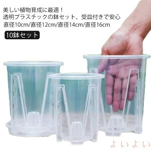 yzӒ 10Zbg ̔ Aؔ Mt Aؔ t vX`bN Aؔ m Ӓ̐Aւ  O A I[Lbh|bg ϗtA  c|bg v