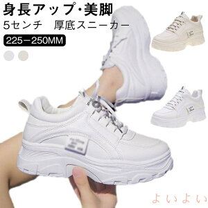 yz  fB[X Cq[Xj[J[ Xj[J[  EH[LOV[Y Xj[J[ C  x[W ₷ ꂢ 5Z` gAbv _bhXj[