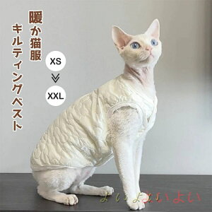 yzXtBNXL LbgEGA xXg LeBO  L  _炩 Ȃ H~ RjXт̔L EȒP AEghA ybgEGA  R[jbVbNX 