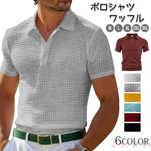 yz|Vc bt Y |Vc StVc 30 40 50 z ʋC JWA n 傫TCY  [EFA