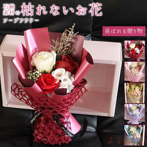yz\[vt[ ԑ {bNX u[P tOX o 3 ͂Ȃ   Ό v[g Mtg ̓ a 蕨 LO o^C