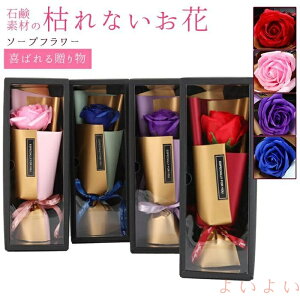 yz\[vt[ ~ju[P o {bNX tOX ԑ 1 ͂Ȃ   Ό v[g Mtg ̓ a 蕨 LO o^