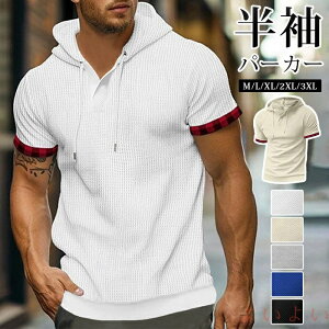 yzp[J[ gbvX TVct[ht ؂ւ Y  n ʋ z StEFA tBbglX g[jOEFA JWA ̓