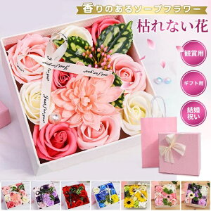 yzMtg \[vt[ ̓ {bNXt[  t[ Ό ͂Ȃ XNGA{bNX v[g j o^Cf[ ̓