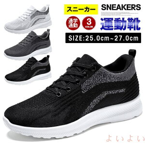 yzXj[J[ Y jOV[Y EI[LOV[Y ^C WMOV[Y ʋC ʊw ʋ t@bV 