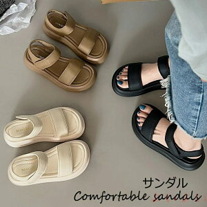 yzRtH[gT_ T_ fB[X T_ }WbNe[v  X|[cT_ Xgbv  Ȃ ₷ RtH[g L