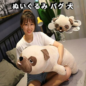 yzƋ̑80cm u  YQ v[g _炩     pO