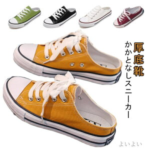 yzYbNC wlC y Xbp LoXV[Y ₷ fB[X T_ Cq[  ƂȂ Xj[J[