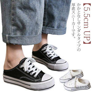 yzT_ Xbp [Jbg LoXV[Y fB[X グ C Xj[J[ ƂȂ UPzXb| y5cm