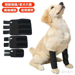 yzT|[g ybg  O ֐߃veN^[ ֐߃T|[^[ T|[^[ p  GT|[^[ pGT|[^[ 2Zbg