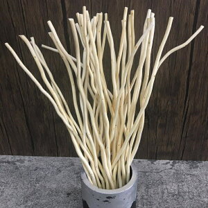 yzfBt[U[XeBbN 25cm 50/100{Zbg ^XeBbN ̎} VR A}Zs[ 