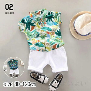  ZbgAbv j̎q t  LbY q  gbvX q uEX n[tpc Vc w 킢 JWA  80 90 100 110 120 130cm