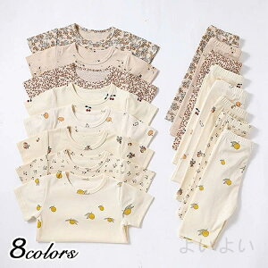  xr[ ZbgAbv ̎q j̎q t  pW} [EFA xr[ q LbY  Vv  ĕ t  킢  ۈ