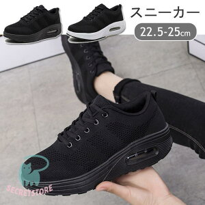 Xj[J[ fB[X EH[LOV[Y ^C NbV y X|[c jO ʋ ~ WMO g[jO tBbglX JWA