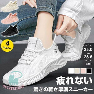 Xj[J[ fB[X EH[LOV[Y y RtH[gV[Y jOV[Y tBbg X|[c X|[c ^C ʋC 